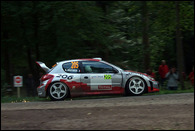 Rallye de France Alsace 2010 -  / 
