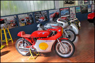 Museo Stanquellini 2025